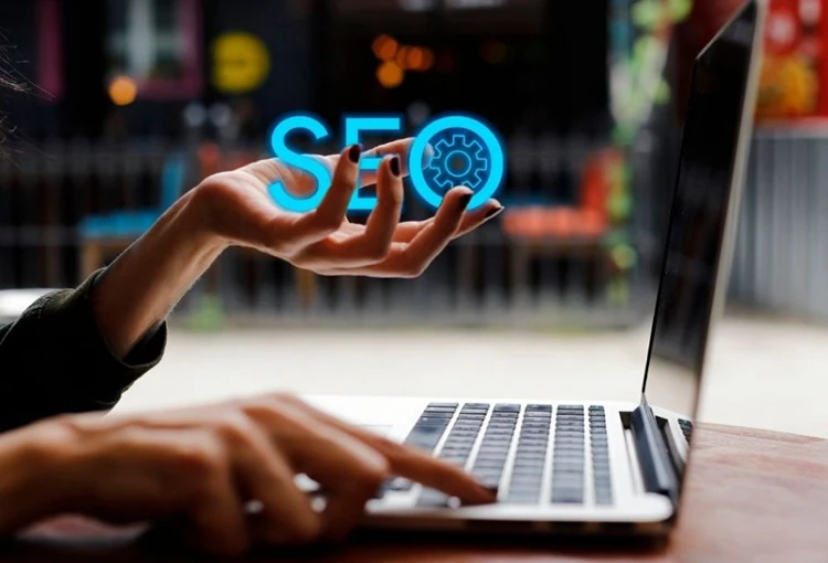 Edremit Web Site Tasarımcı